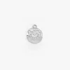 CHARM LE STELLE ARGENTO