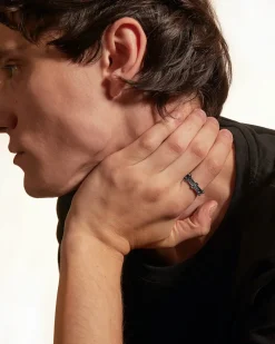 FEDE IN ARGENTO DEVICTUS VULNERE AMORIS