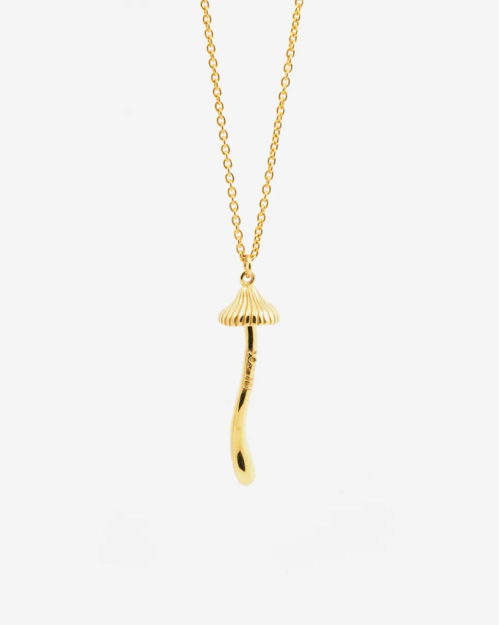 PENDENTE FUNGO